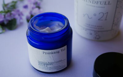 Pyunkang Yul Intensive Repair Cream – Recenze